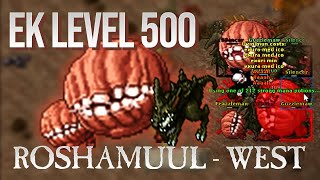 EK SOLO LVL 500 ROSHAMUUL WEST 7KKXPHR 670K PROFIT [upl. by Luapleahcim]