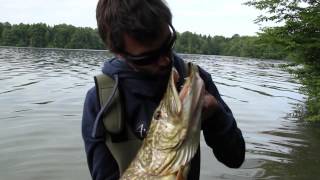 Le grand lac  Pêche du brochet  AM Fishing [upl. by Llirred]