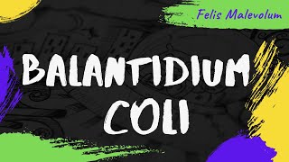 Balantidium coli Balantioides coli Neobalantidium coli [upl. by Coffey]