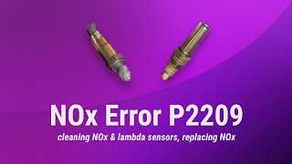 NOx amp Lambda sensors cleaning NOx repair [upl. by Aisor272]