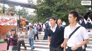 A Short Clip of My School Trip In Japan  Euodias [upl. by Lipscomb]