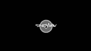 GTA Chinatown Wars  Sinowav FM Full Version [upl. by Ttenrag]