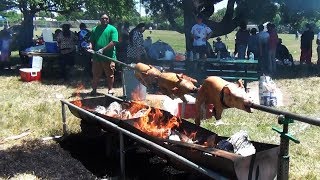 Tongan Umu food cooked in native oven and Pig Rosting at LDS Memorial Day Feast [upl. by Sharona]