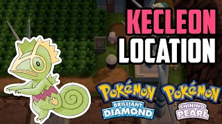 How to Catch Kecleon  Pokémon Brilliant Diamond amp Shining Pearl [upl. by Adnilak]