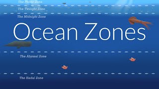 Ocean Zones  Nautilus Live [upl. by Notsek]