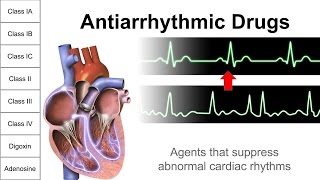 Antiarrhythmic Drugs [upl. by Iilek]