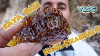 DOĞAL KAYA BALI NASIL ÇIKARILIR  VLOG 🐝🍯 [upl. by Kimmel]