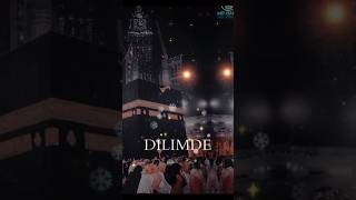 Allah Isimde Allah dilimde full viral short video Alhamdulillah 🕋🕋 [upl. by Htiel]