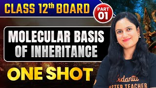 Molecular Basis of Inheritance Class 12  Biology One Shot  Amrita Maam  Part 1 [upl. by Oigaib961]