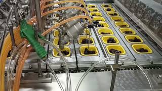 Stinky Tofu boxes trays filling and sealing machine [upl. by Idaline]