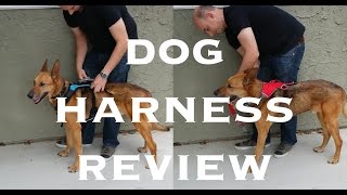 Dog Harness Review  Help Em Up and Ruffwear Web Master [upl. by Llovera]