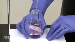 Setting up and Performing a Titration [upl. by Doris]