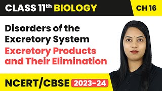 Disorders of the Excretory System  Excretory Products and Their Elimination  Class 11 Biology CBSE [upl. by Edyaj]