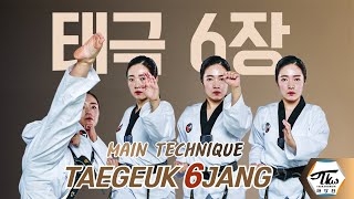 태극6장 새로운 기술 동작 Taegeuk 6jang new technique [upl. by Neitsirk]