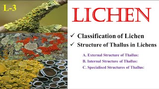 Lichen  Classification amp Thallus Structure  NEET  BSc  MSc  UPHESC  TGT  PGT  SK Sir [upl. by Shapiro]