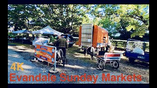 Evandale Sunday Markets 4K ｜Launceston  Walking Tour [upl. by Toby508]