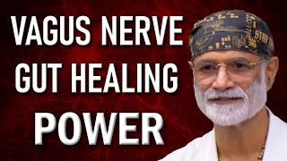 How the Vagus Nerve Heals Your Gut The Key to Digestive Health and Healing [upl. by Duwalt]