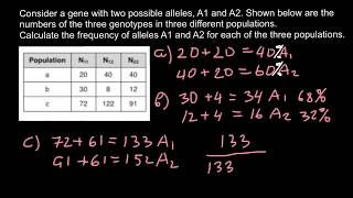 How to Find a Frequency of Alleles in a Population [upl. by Amalbena409]