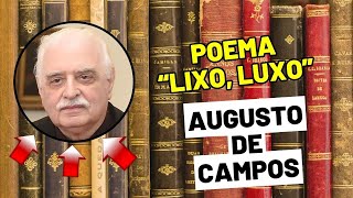 Conheça o poema quotLixo Luxoquot de Augusto de Campos  Poesia Concreta [upl. by Izawa786]