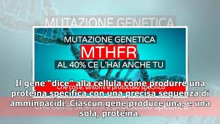 Mutazione MTHFR che cos’è sintomi e protocollo specifico [upl. by Ahsieket]