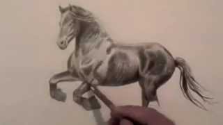 Comment dessiner un poney [upl. by Sama]