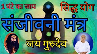 1 घंटे का जापSanjivani Mantragssy gurudevsiyag gururamlalji sanjeevanimantra gururamlalji [upl. by Novit]