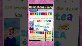 Homophones Song Katy Perry [upl. by Portwin]