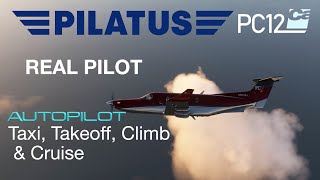 Pilatus PC12 Takeoff Climb Cruise Real World Step by Step Instructions 4K Carenado PC12 Video 2 [upl. by Etnoled]