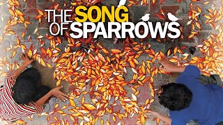 The Song of Sparrows  Full Movie [upl. by Philippe]