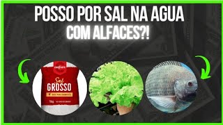 Dica de como tratar a água com sal grosso quando se tem verduras no sistema [upl. by Whitney439]