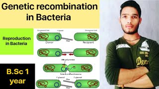 Reproduction in Bacteria  Genetic recombination in Bacteria [upl. by Ruffi]