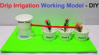 drip irrigation working model using paper cup  eco friendly science project  diy  DIY pandit [upl. by Winnie]