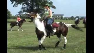 Jessie Reed horse training practicing stops and rollbacks [upl. by Gladdie506]