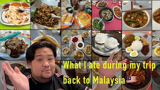 Fulfilling my food craving back in Malaysia🇲🇾 [upl. by Nerrag]