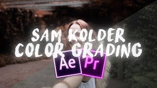 Sam Kolder  Color Grading Free Luts [upl. by Ahseuqram392]