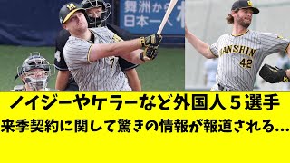 阪神 ノイジーら外国人5選手の去就の最新情報が報道される。ケラーは【阪神タイガース岡田監督】 [upl. by Haiasi]