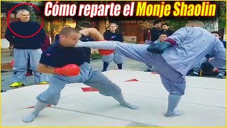 Monjes Shaolin PELEAN MUY DURO desde Jóvenes en el Templo Historias de Shifu [upl. by Angelique90]