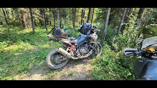 Africa Twin 1100 hill climb with street tires [upl. by Arima109]