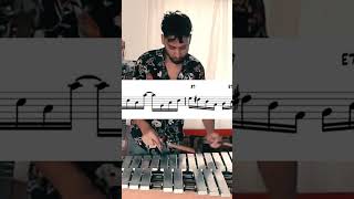 Milonga 71  Lito Vitale vibrafono milonga tango vibraphone [upl. by Aloysia546]