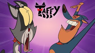 Taffy has been kidnapped  Taffy [upl. by Reifel]