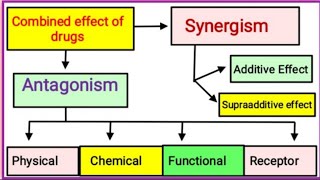 Combined Effect of Drugs [upl. by Eittod596]