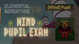 Elemental Adventure ROBLOX  Pupil Exam  Wind [upl. by Assyl832]