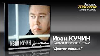 Иван Кучин  Цветёт сирень Audio [upl. by Henig]