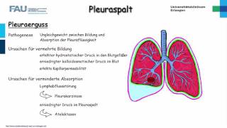 Chirurgie ─ Pleuraspalt Teil 12 [upl. by Milissent]