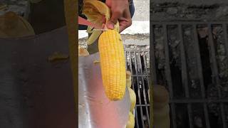 easiest way to cut corn [upl. by Amikehs]