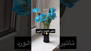 تأثير الالوان ع الورود 🌼💙 withoutmusic speedup [upl. by Dralliw]