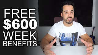 How To Apply for the FREE 600 Weekly  Unemployment Benefit [upl. by Rior]