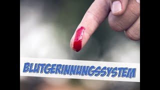 Das Blutgerinnungssystem [upl. by Nylsej]