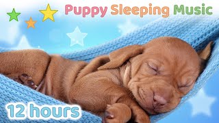 ☆ 12 HOURS ☆ Puppy Sleeping Music 🐶 ♫ SLEEP MUSIC for Dogs ☆ Dog Sleep Music ☆ Dog Music [upl. by Vigor]