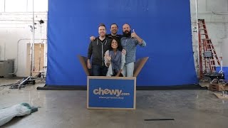 Behind the Scenes of Chewycom’s Blown Away TV Spot  Chewy [upl. by Emalia107]